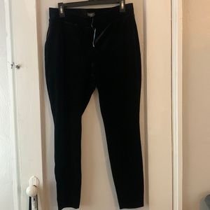 Loft Velvet Leggings